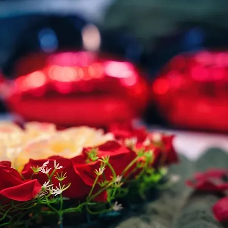 Stanislas Sensual Bali Jacuzzi 300m Place Stanislas Nancy