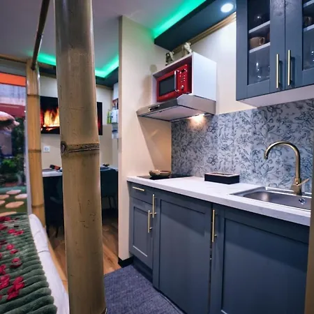 Daire Stanislas Sensual Bali Jacuzzi 300m Place Stanislas